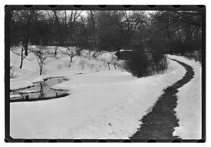 Snow pictures - Fenway