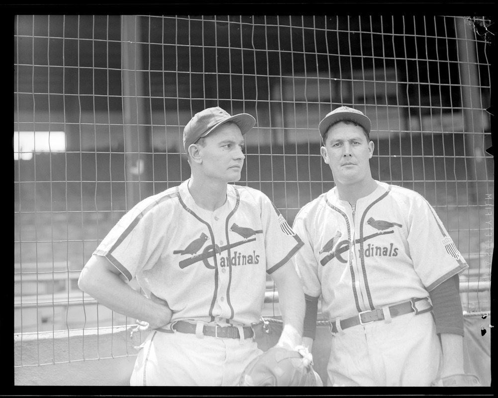 Cardinals