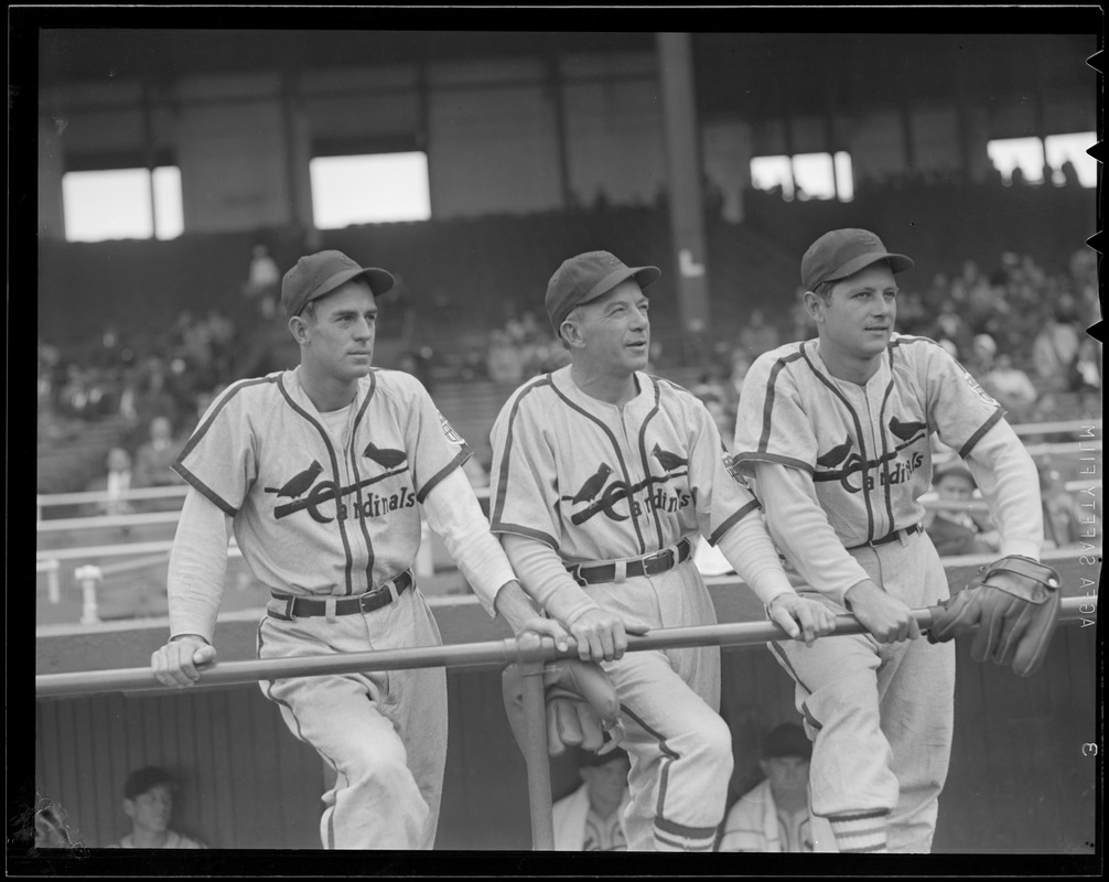 Cardinals