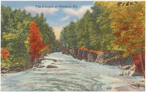 The canyon at Shohola, Pa.