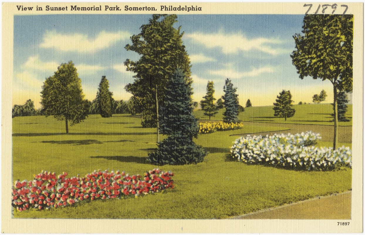 View in Sunset Memorial Park, Somerton, Philadelphia