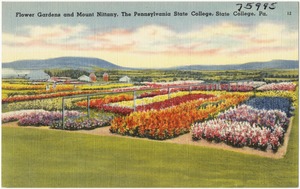 Flower gardens and Mount Nittany, The Pennsylvania State College, State College, Pa.