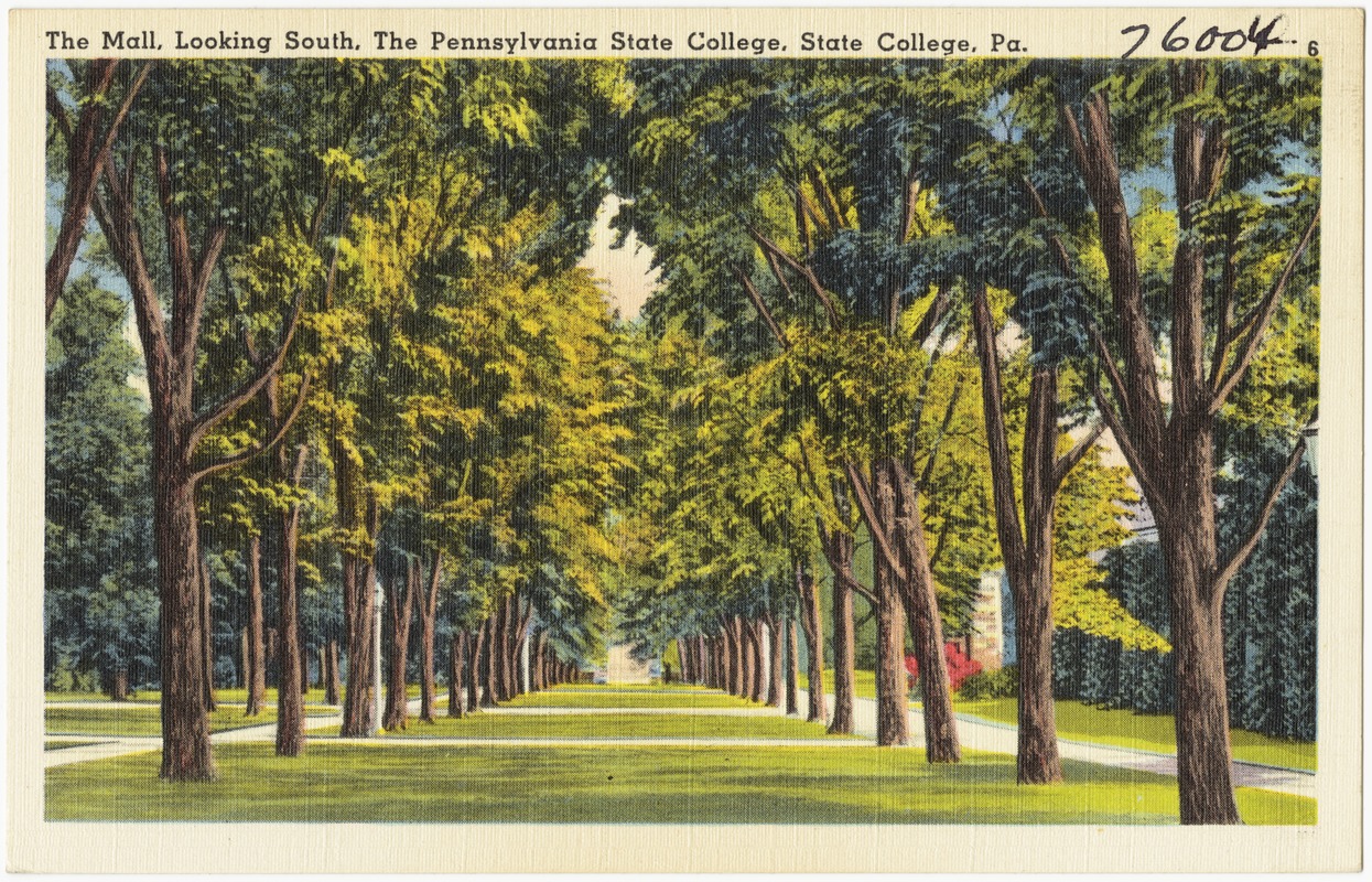 The Mall, looking south, The Pennsylvania State College, State College, Pa.