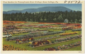 Test Garden for Pennsylvania State College, State College, Pa.
