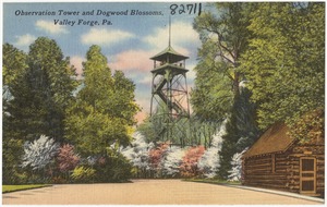 Observation Tower and Dogwood Blossoms, Valley Forge, Pa.