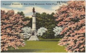 Dogwood Blossoms at New Jersey Monument, Valley Forge, Pa.