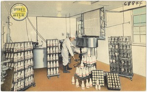 Dyke's Dairy Pasteurized Milk and Cream