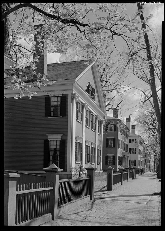 Street scene