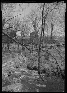 Essex, buildings and trees