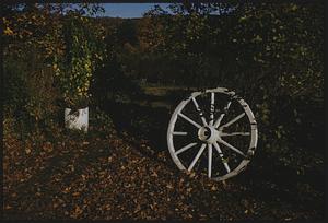 Wagon wheel and fall foliage
