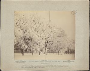 View no. 1, snow scene on Boston Common on the morning of February 29, 1884