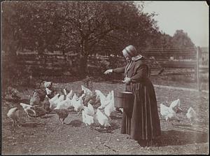 Shakeress and chickens