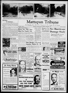 Mattapan Tribune