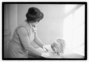 Cat show