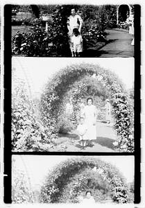 Unidentified boy and woman, rose garden, Boston