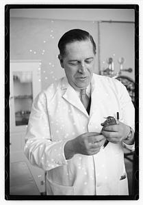 Dr. Dailey Angell Memorial Animal Hospital