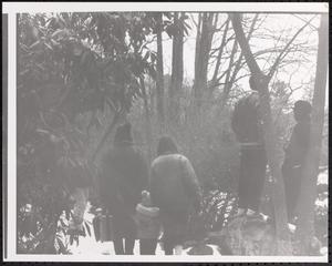 Group of people walking in the woods