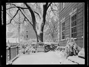 Marblehead, exterior gate, snow