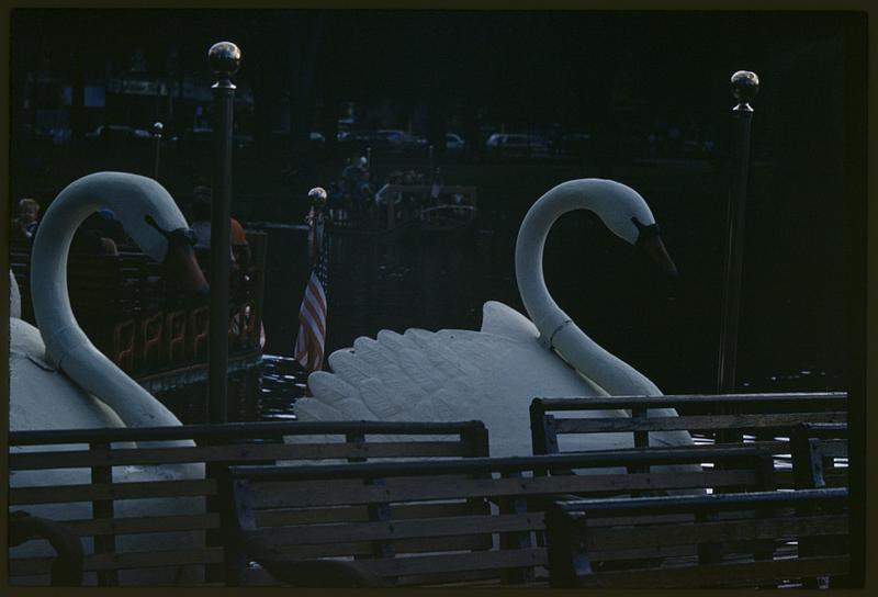 Swan boats, Boston Public Garden