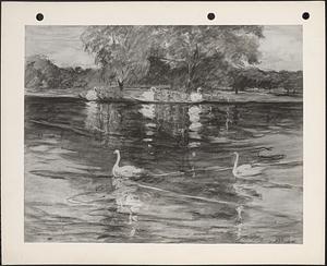 Swan boat scene, Public Gardens