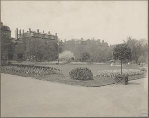 Boston, Massachusetts, Public Garden in spring, Arlington Street side