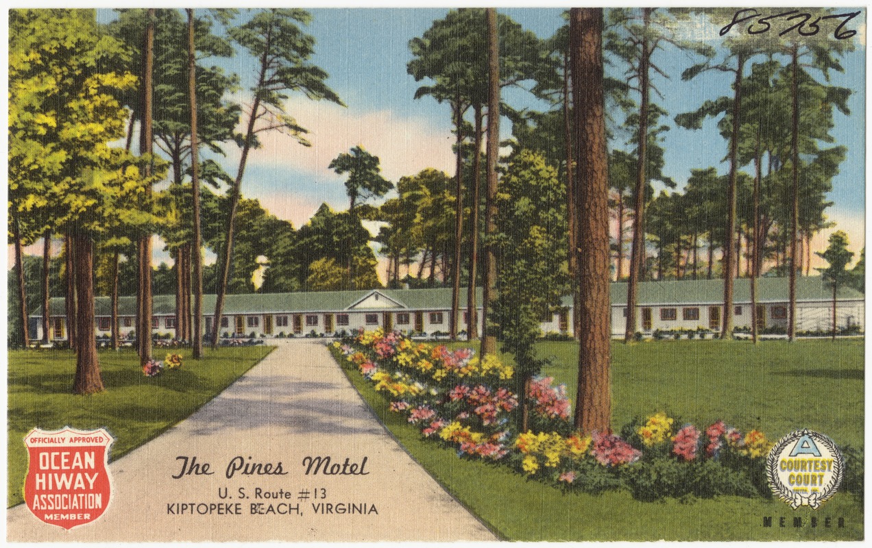 The Pines Motel, U.S. Route #13, Kiptopeke Beach, Virginia
