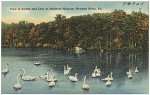 View of Swans and lake at Mariners Museum, Newport News, Va.