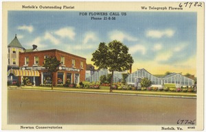 Norfolk's outstanding florist, Newton Conservatories, Norfolk, Va.
