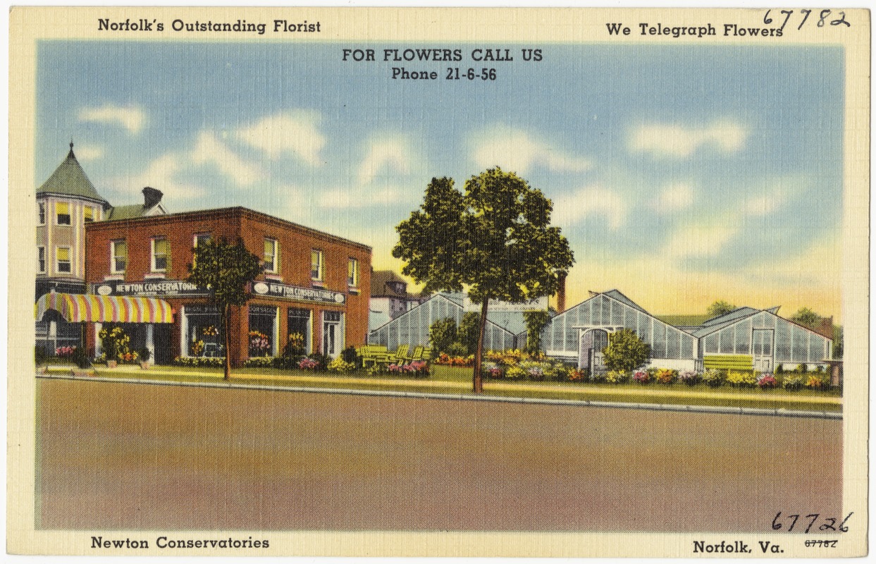 Norfolk's outstanding florist, Newton Conservatories, Norfolk, Va. Digital Commonwealth