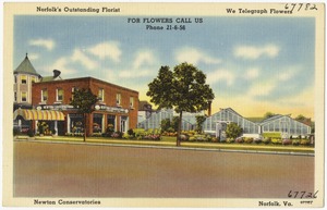 Norfolk's outstanding florist, Newton Conservatories, Norfolk, Va.
