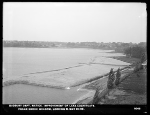Sudbury Department, improvement of Lake Cochituate, Pegan Brook Meadow looking north, Natick, Mass., May 20, 1903