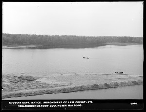 Sudbury Department, improvement of Lake Cochituate, Pegan Brook Meadow looking northwest, Natick, Mass., May 20, 1903