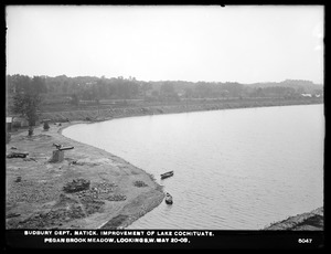 Sudbury Department, improvement of Lake Cochituate, Pegan Brook Meadow looking southwest, Natick, Mass., May 20, 1903