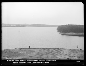 Sudbury Department, improvement of Lake Cochituate, Pegan Brook Meadow looking west, Natick, Mass., May 20, 1903