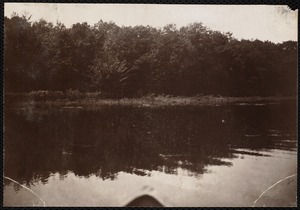 Distribution Department, Low Service Spot Pond Reservoir, western shore, south of Ben's Cove (Eastern Deer Hill shore); verso, "from boat; shows poor trees but a dense stretch of trees and waterline bushes; a characteristic picture of the greater part of these Deer Hill shores; note that these trees are a little better than those shown . . .", Stoneham, Mass., Jul. 1898