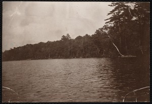 Distribution Department, Low Service Spot Pond Reservoir, Hadley Cove [Ice Boat Cove?] (near Ellen Dale Dyke on shore); verso, "from boat; elevation of the two parallel black marks on the birch tree is 5 feet", Stoneham, Mass., Jul. 1898