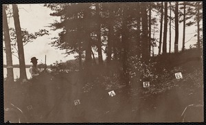 Distribution Department, Low Service Spot Pond Reservoir, verso, "height of camera objective = 6.5 feet; note that a rise of water level will expose a new but excellent front", Stoneham, Mass., Jul. 1898