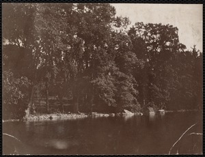 Distribution Department, Low Service Spot Pond Reservoir, Spring Cove (from Melrose Pumping Station pier); verso, "from end of pier; shows character of these fine trees and the open land behind them", Stoneham, Mass., Jul. 1898
