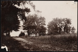 Distribution Department, Low Service Spot Pond Reservoir, verso, "from private land in front of Langwood Hotel; shows the open fields to be exposed by a rise of over 2 feet", Stoneham, Mass., Jul. 1898