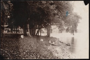 Distribution Department, Low Service Spot Pond Reservoir, eastern shore, Stone House Point (south of Old Pepe's Cove); verso, "from the point of land; elevation of camera 3 feet, 9 inches; note beautiful overhang; removal of these trees exposes a cultivated field", Stoneham, Mass., Jul. 1898