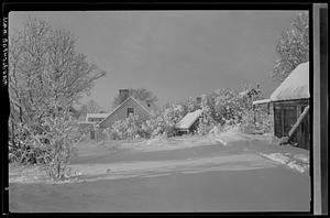 Marblehead, garden scene, snow