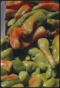 Peppers