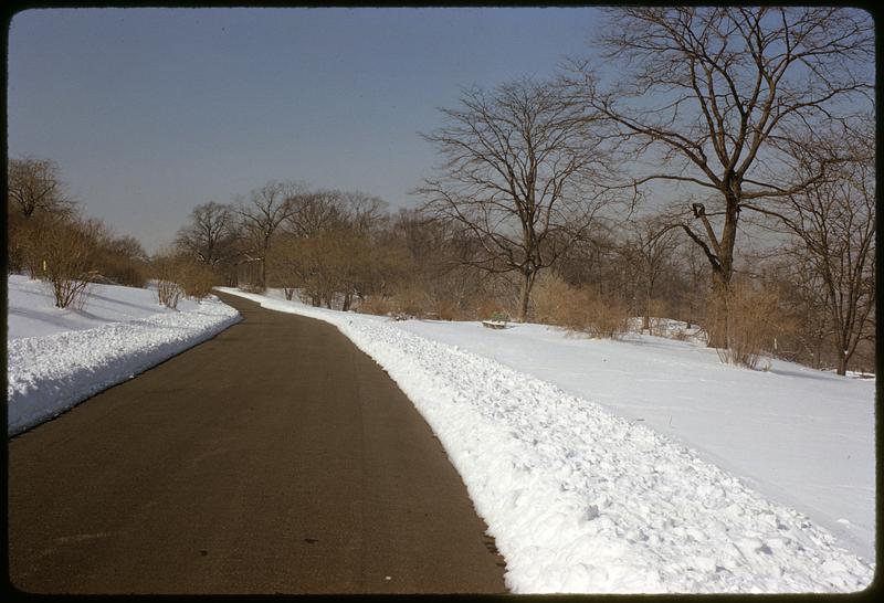 View down road showing snow and trees