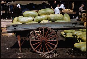 Watermelons on cart and on ground