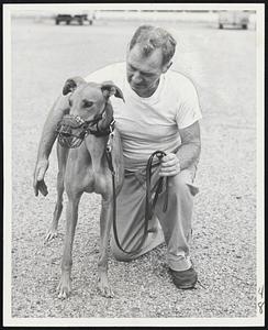 Nellie's Hope, an Irish-bred greyhound, with owner-trainer John McLaughlin, has shown promise in schooling and looms one of the top greyhounds that will be racing at the Taunton meeting opening tonight.