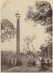 Bhim Gaja pillar, Pathari, India