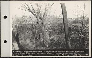 Views of Dane Property, Chestnut Hill Site, Newton Cemetery Site, Boston College Site, looking northeasterly showing bed of brook leading from old culvert under Cochituate Aqueduct, Chestnut Hill, Brookline, Mass., Nov. 22, 1941