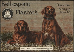 Bell-cap-sic Plasters, "Cure like a magic touch." The father and mother of the puppies.