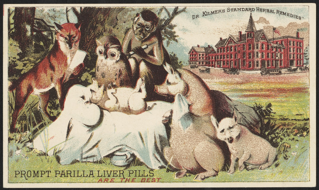 Dr. Kilmer's Standard Herbal Remedies - Prompt Parilla Liver Pills are the best