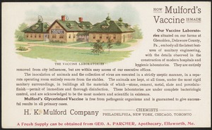 How Mulford Vaccine is made